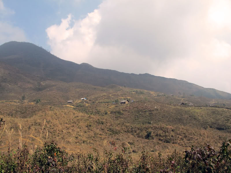 HongNgai2011187.jpg