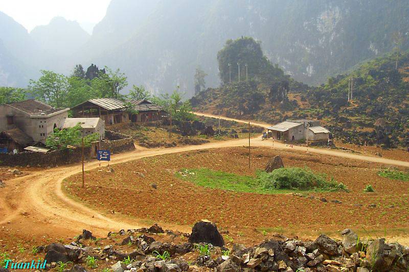 SDC16800.jpg