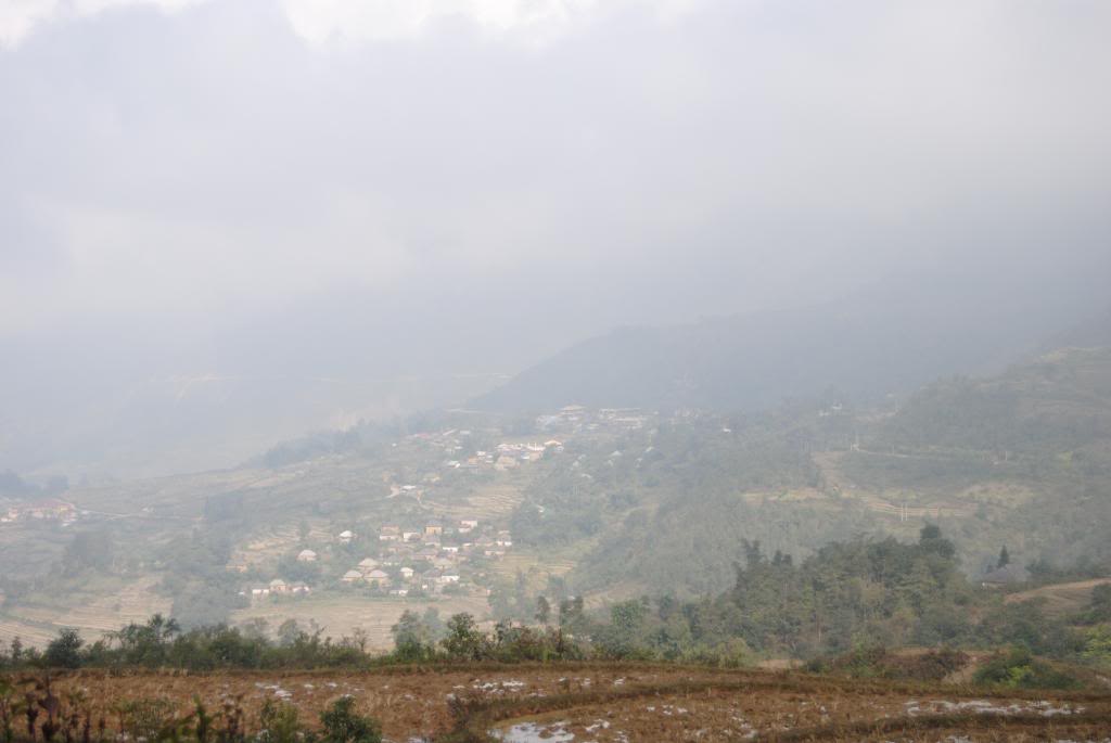 DSC_0892.jpg