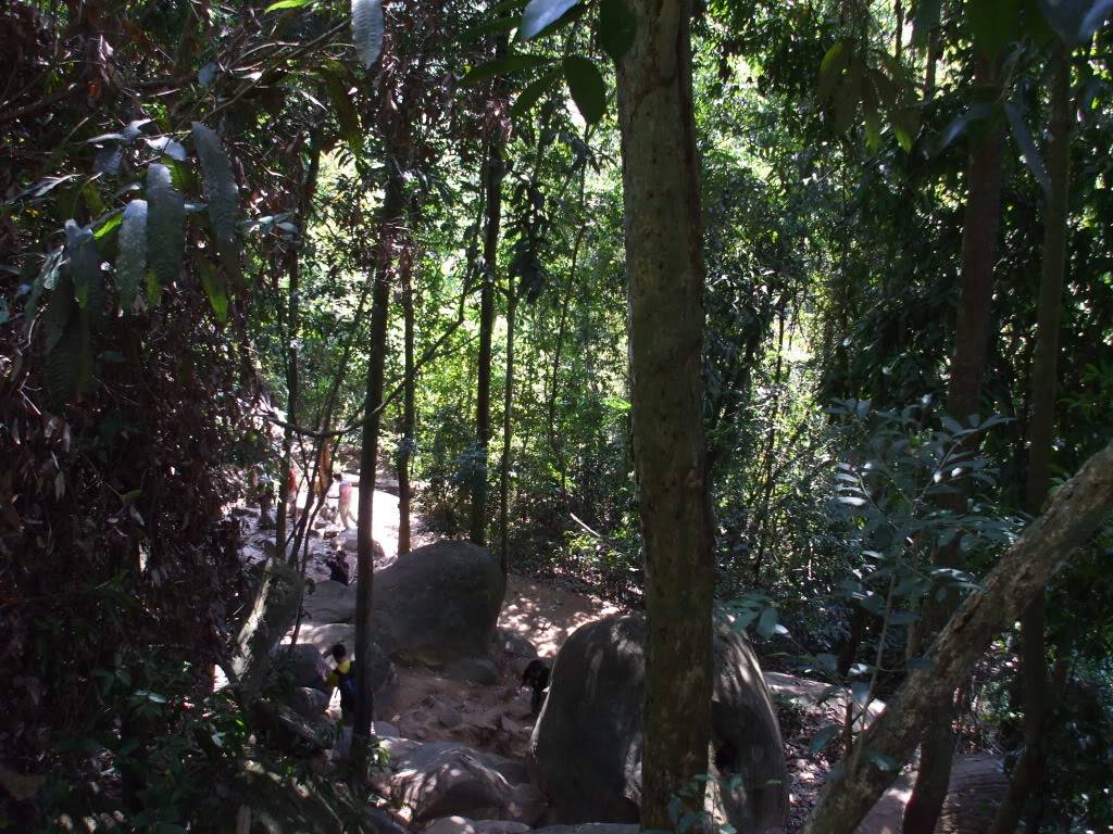 DSCF5496.jpg