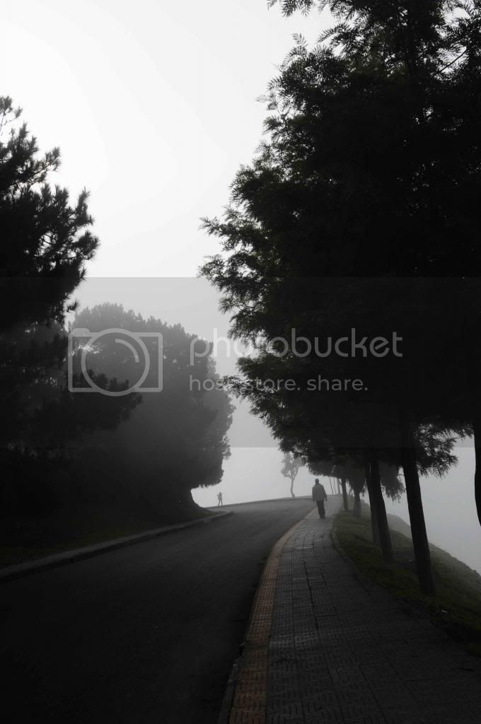 DSC_5573_zpsecb8be07.jpg
