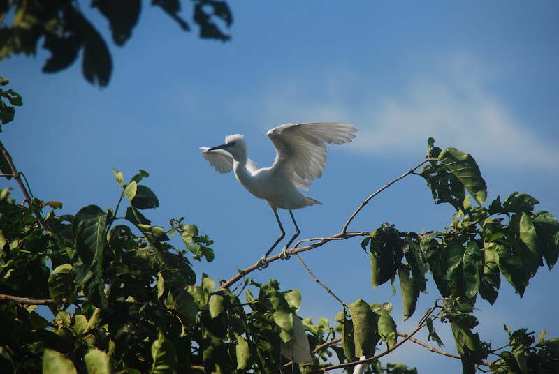 DSC_1101.JPG