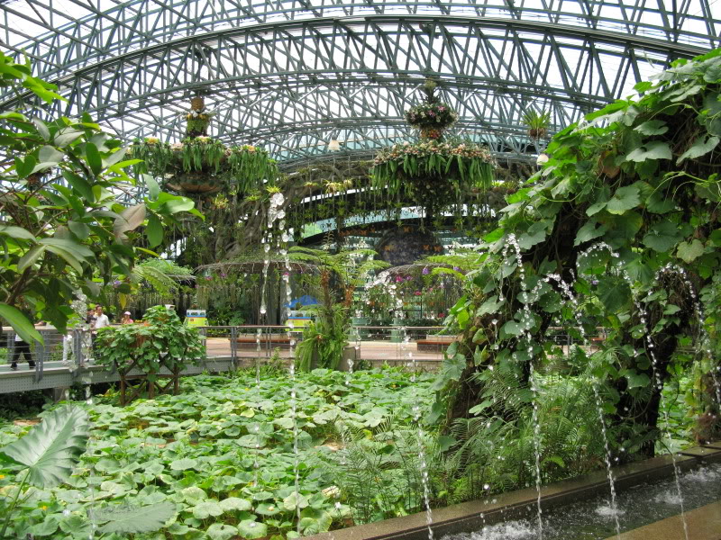 IMG_9305.jpg