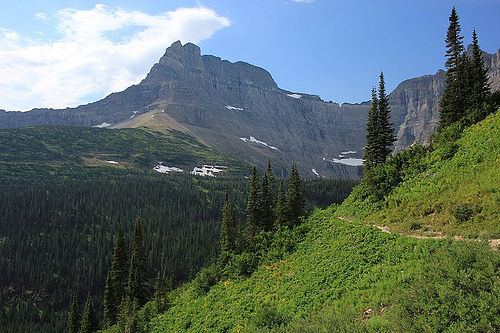 7005466340_1b9a855739.jpg