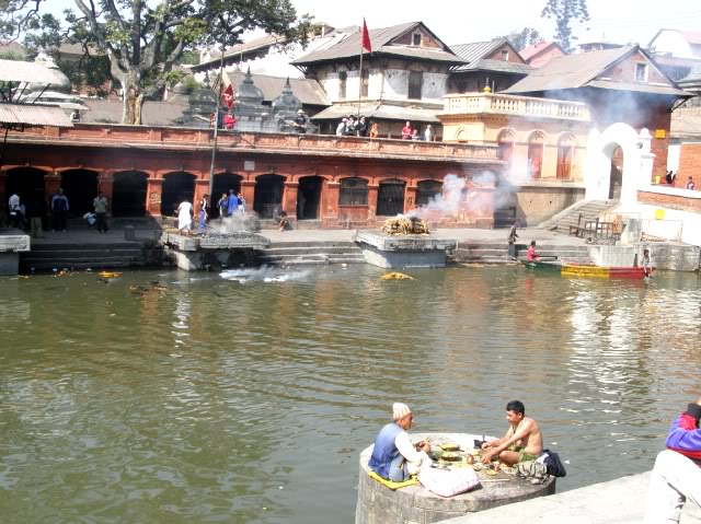 PB050024.jpg