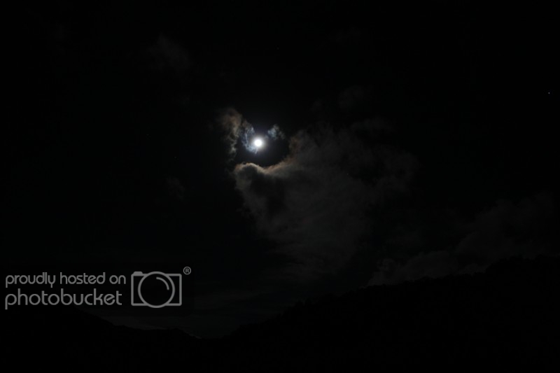 IMG_4099_zps89769630.jpg