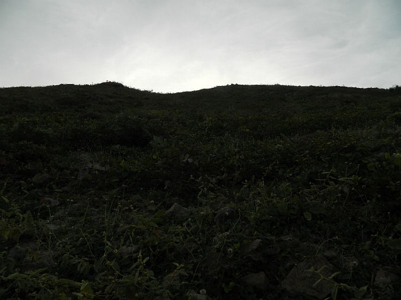 DSCN4548_376.jpg