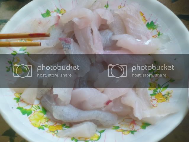 P1040640_resize.jpg
