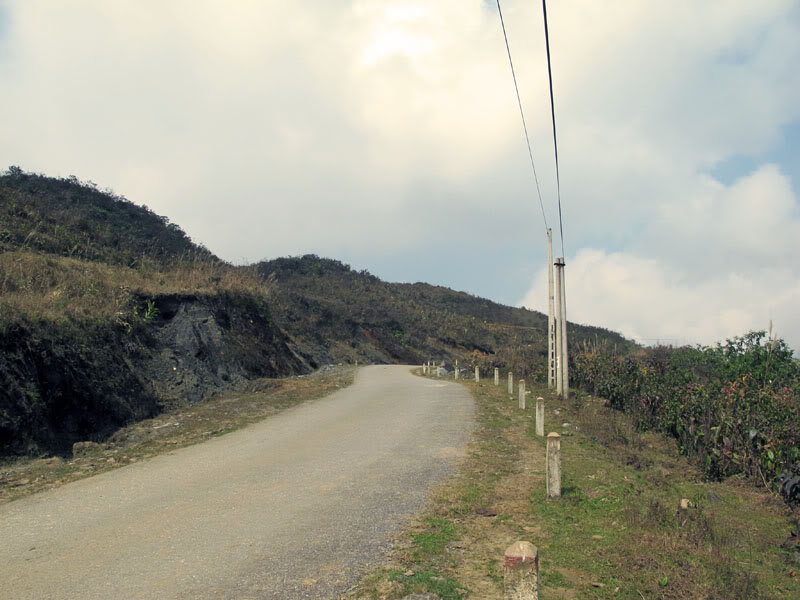 HongNgai2011188.jpg