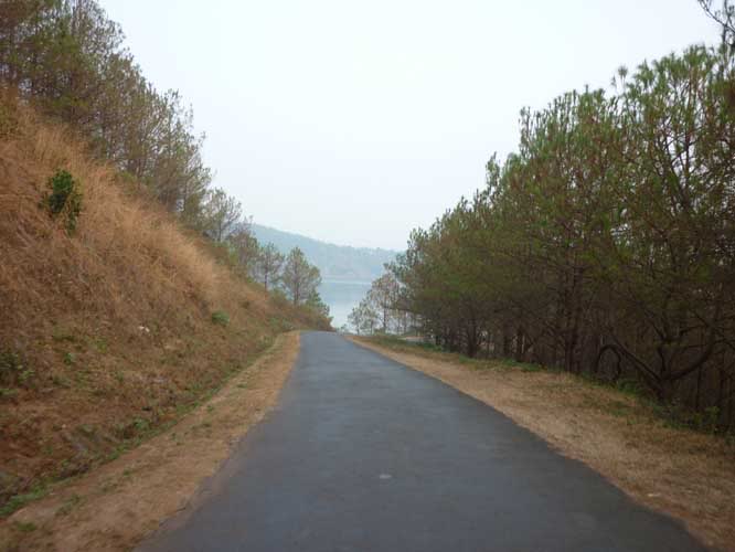 P1030788.jpg