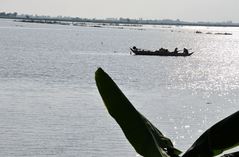DSC_5695.jpg