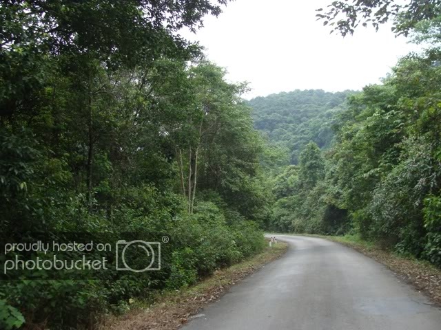 DSC08794.jpg