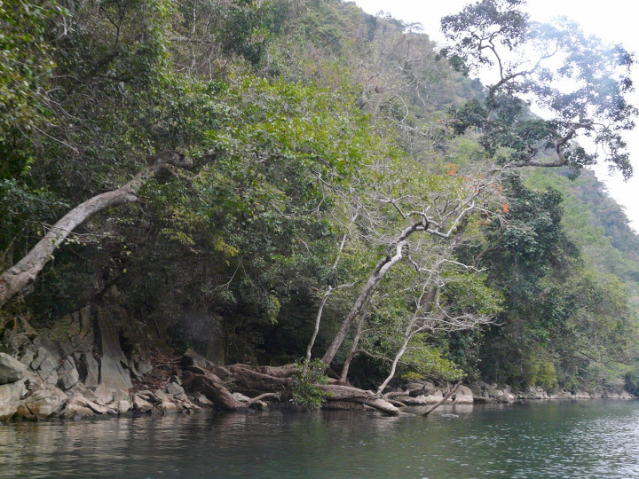 P1050547.JPG