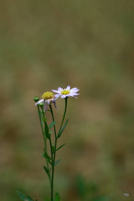 IMG_5625.jpg
