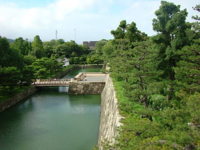 DSC00894.jpg