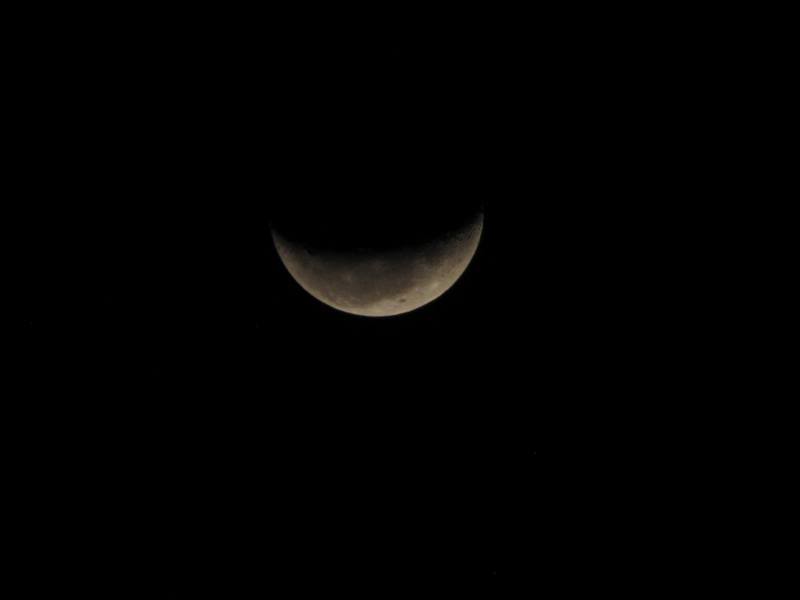 IMG_2686.jpg