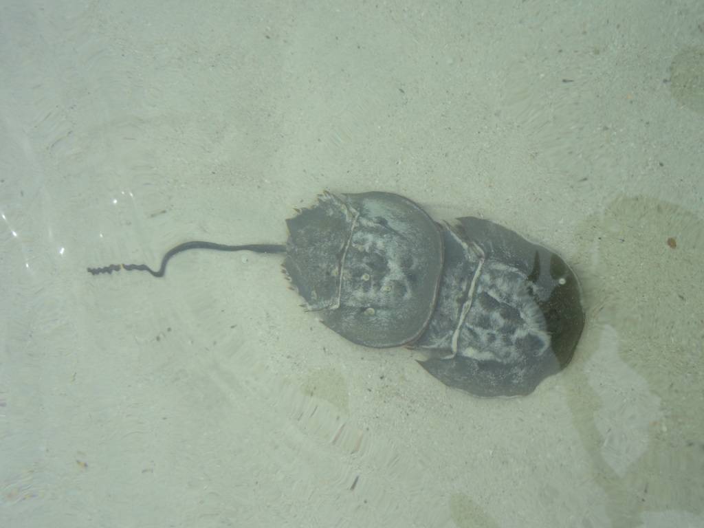 DSC06692.jpg