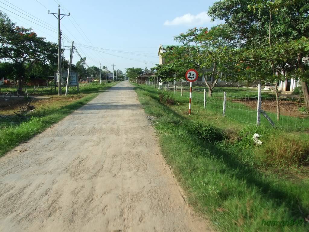 hoaminh-24.jpg