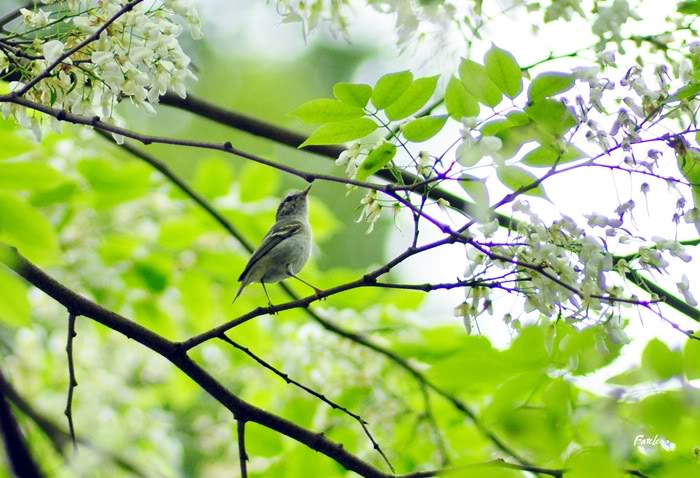 DSC_4397.jpg