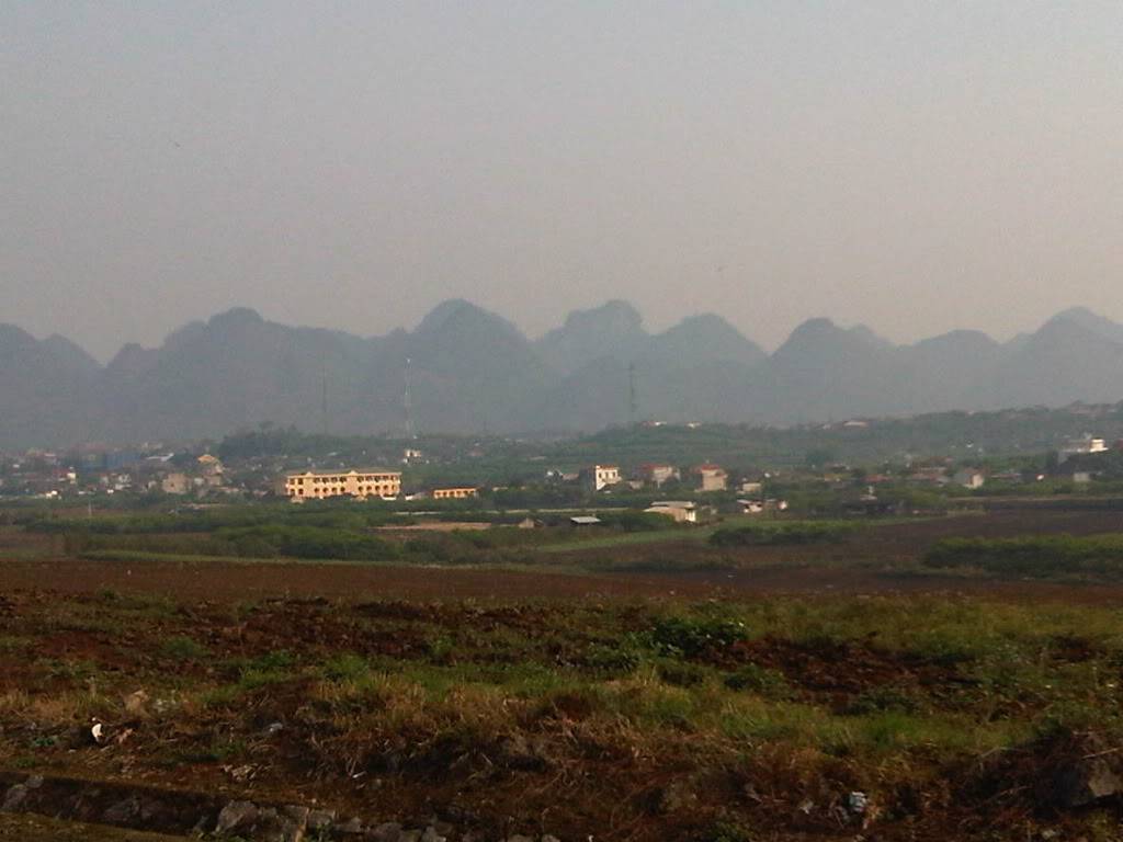 IMG00533-20120305-0802.jpg