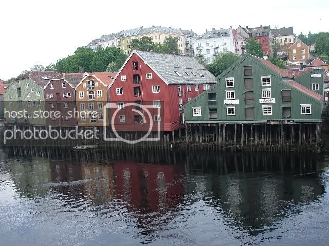 DSC00407.jpg