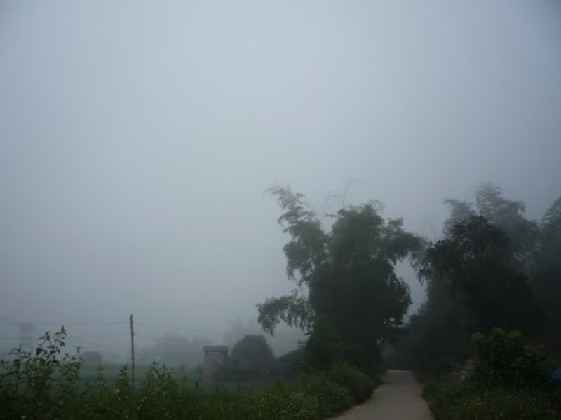 P1010789800x600.jpg