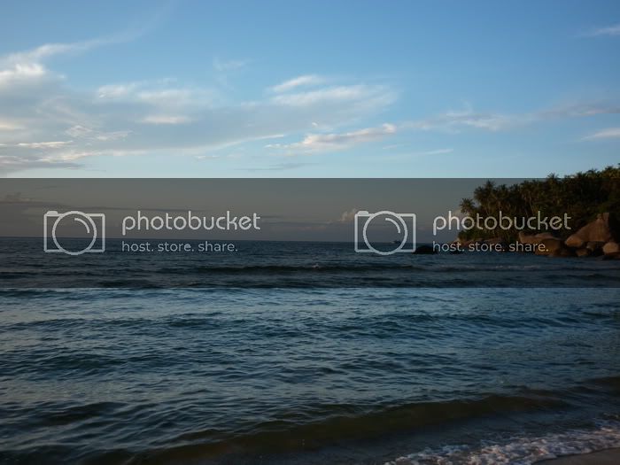 P1010034-1.jpg
