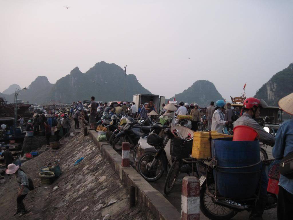 IMG_3846.jpg