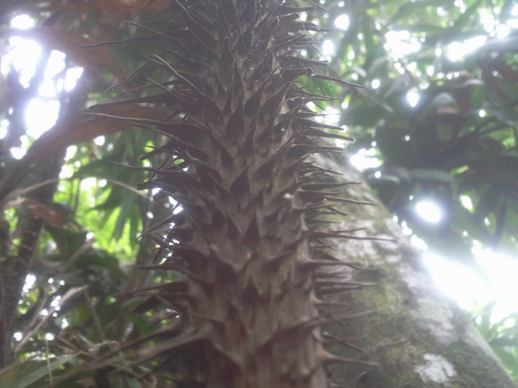 Photo0820.jpg