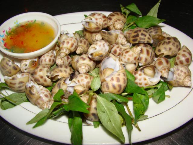 DSC00633.jpg