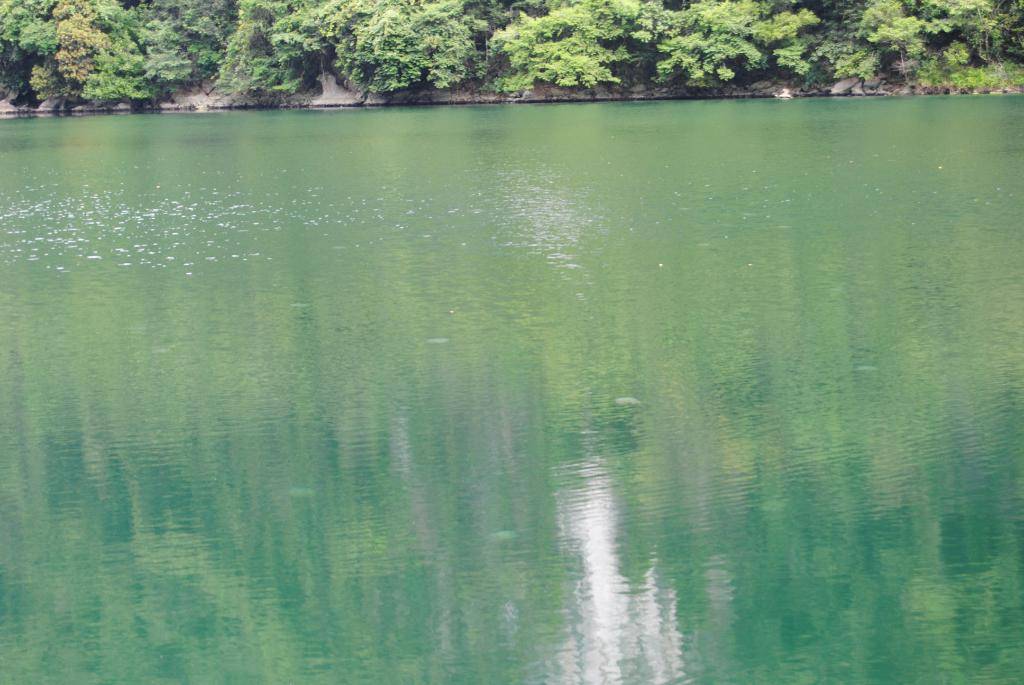 DSC_0199.jpg