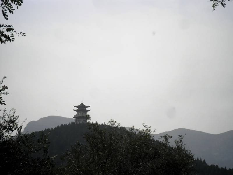 PA232962.jpg