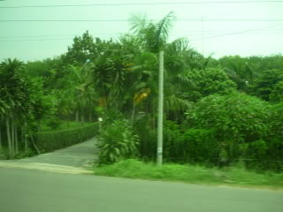 P1000678.jpg
