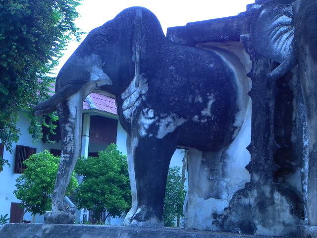 DSCN1002.jpg
