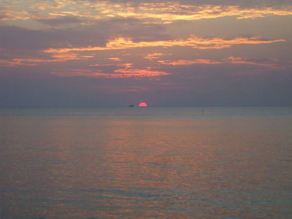 DSCF4992.jpg