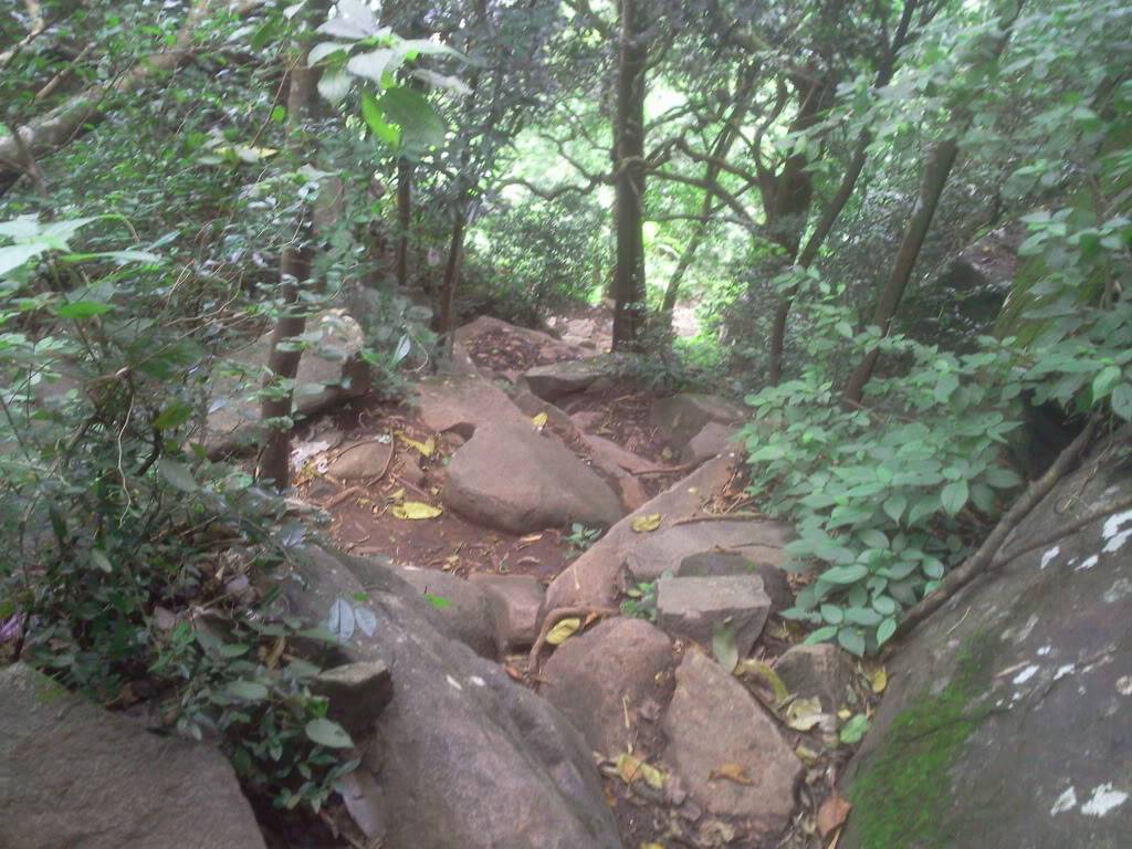 Photo0783.jpg