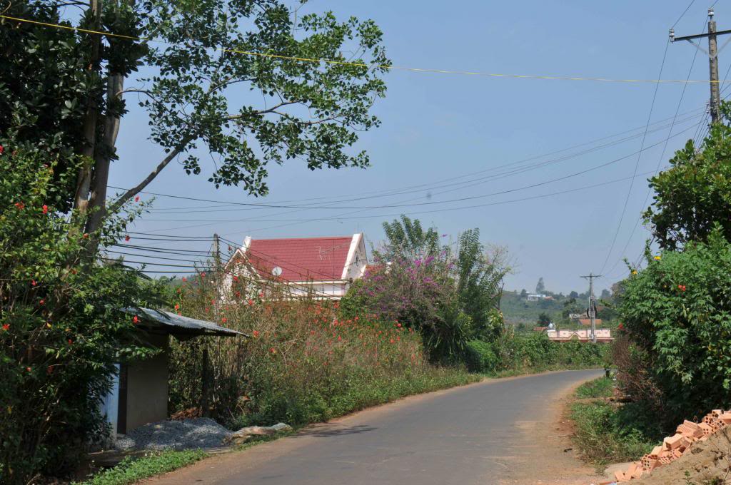 DSC_4445_zps60b039b0.jpg