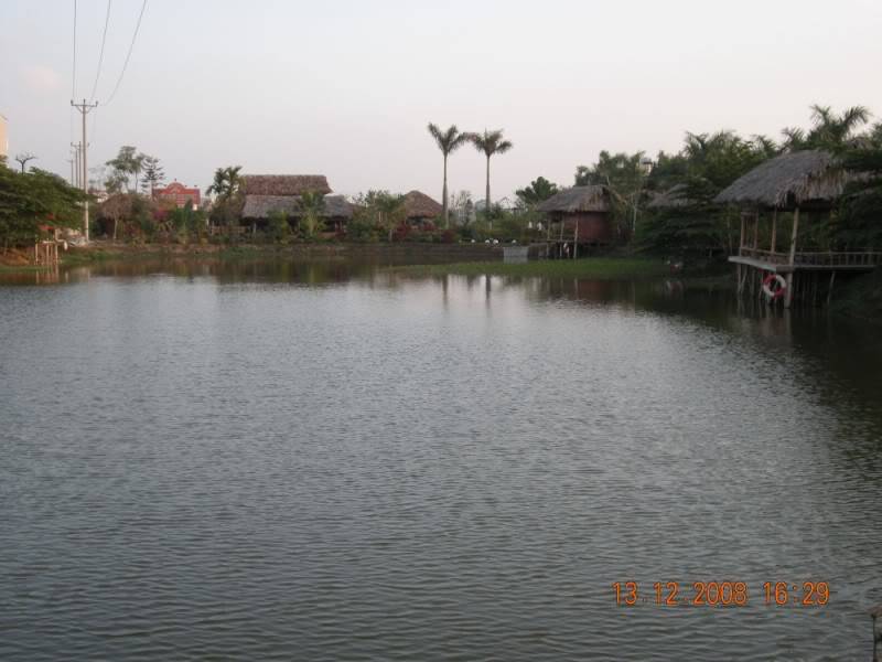 DSCN4289800x600.jpg