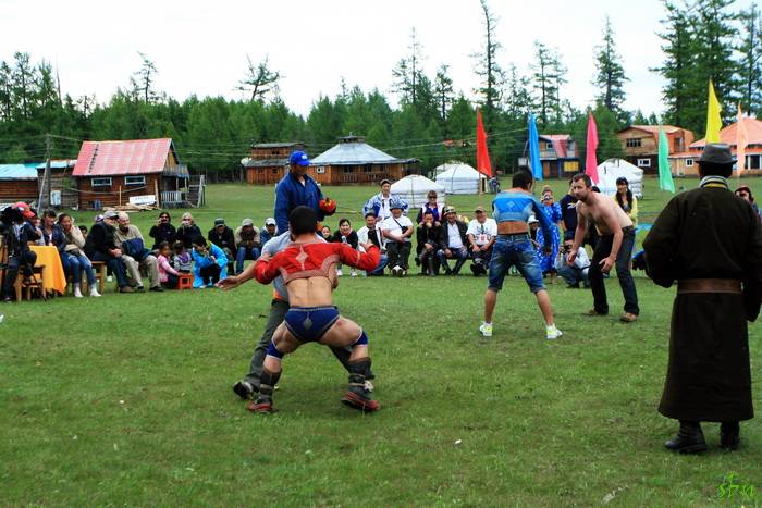 IMG_7118_zps0af83410.jpg