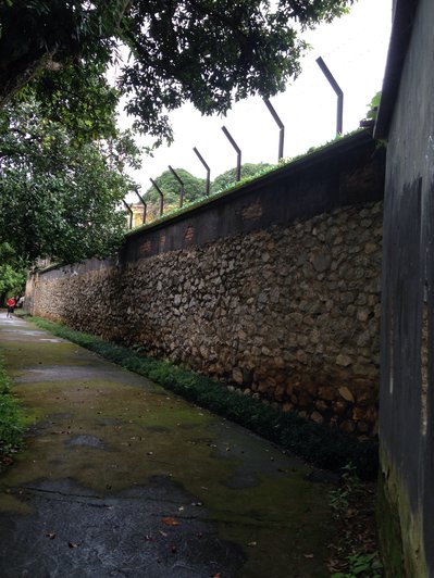 image-jpg.129467