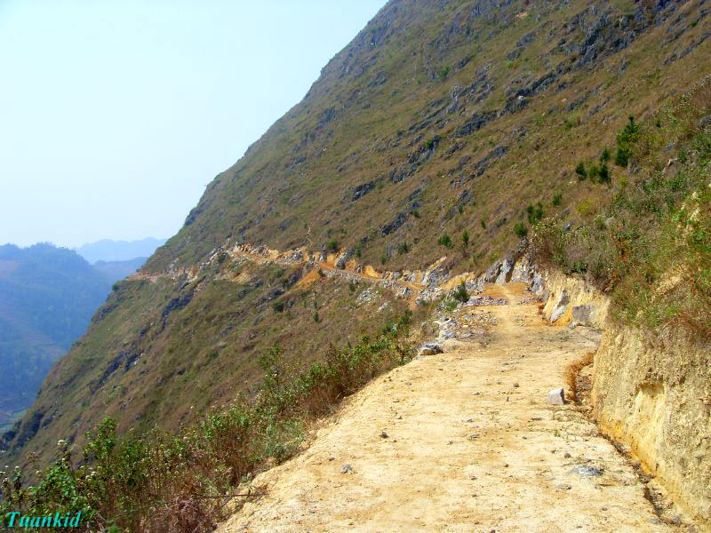 SDC16413.jpg