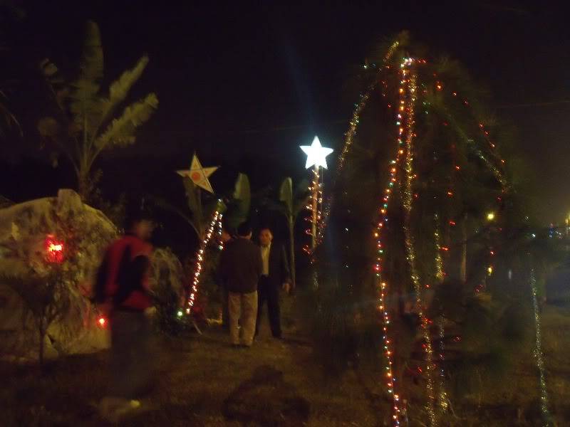DSCF4162.jpg