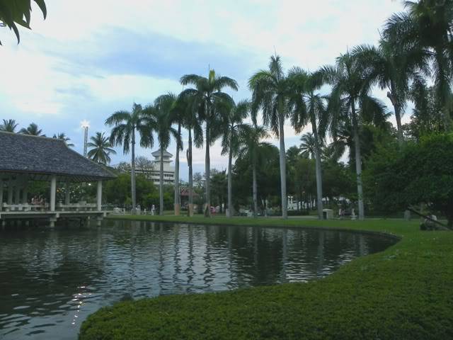 DSCN0946.jpg