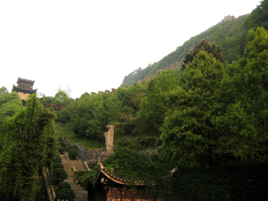 IMG_1416.jpg