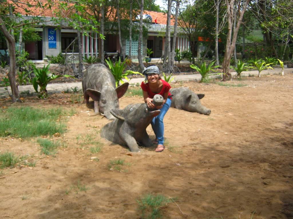 IMG_8682.jpg