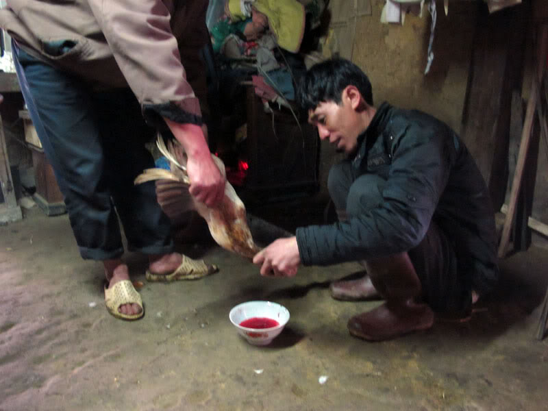 HongNgai2011392.jpg