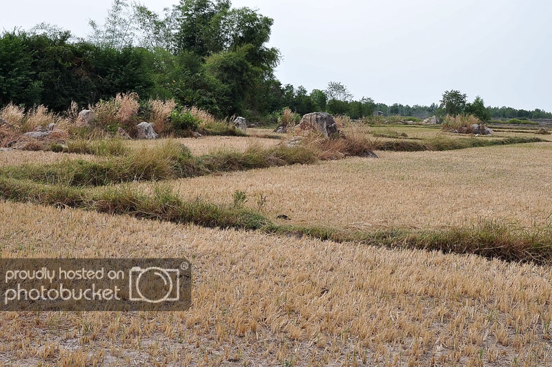 DSC_2173_zps4e782950.jpg