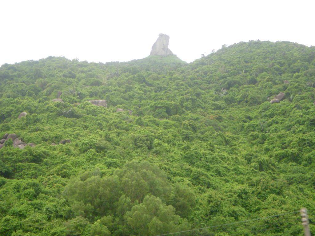 DSCN4110_zpsdb972aae.jpg