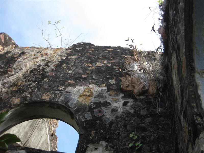 IMG_2443Medium.jpg