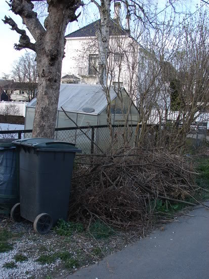 DSC06204.jpg